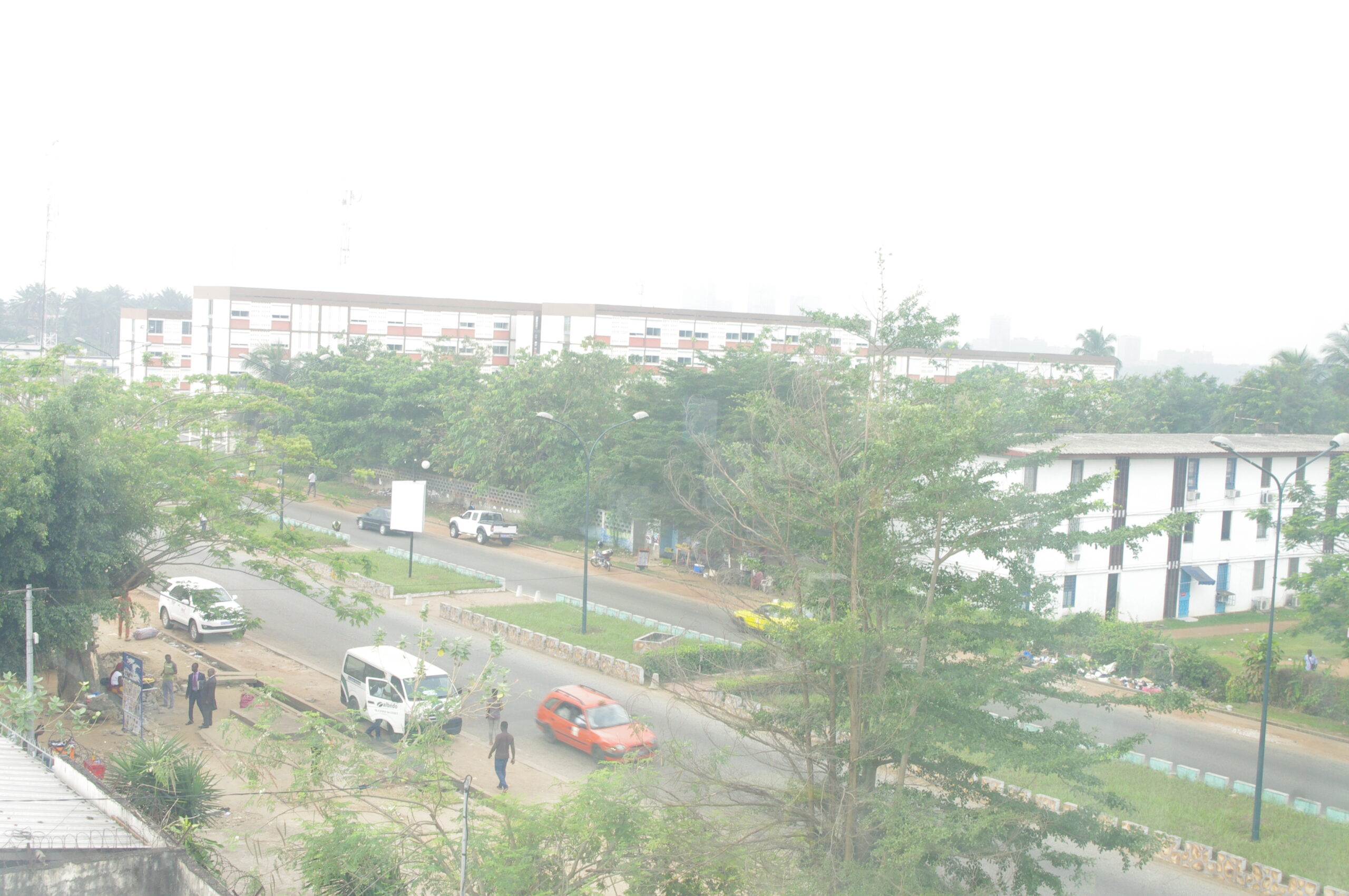 IMGP0176.JPG
