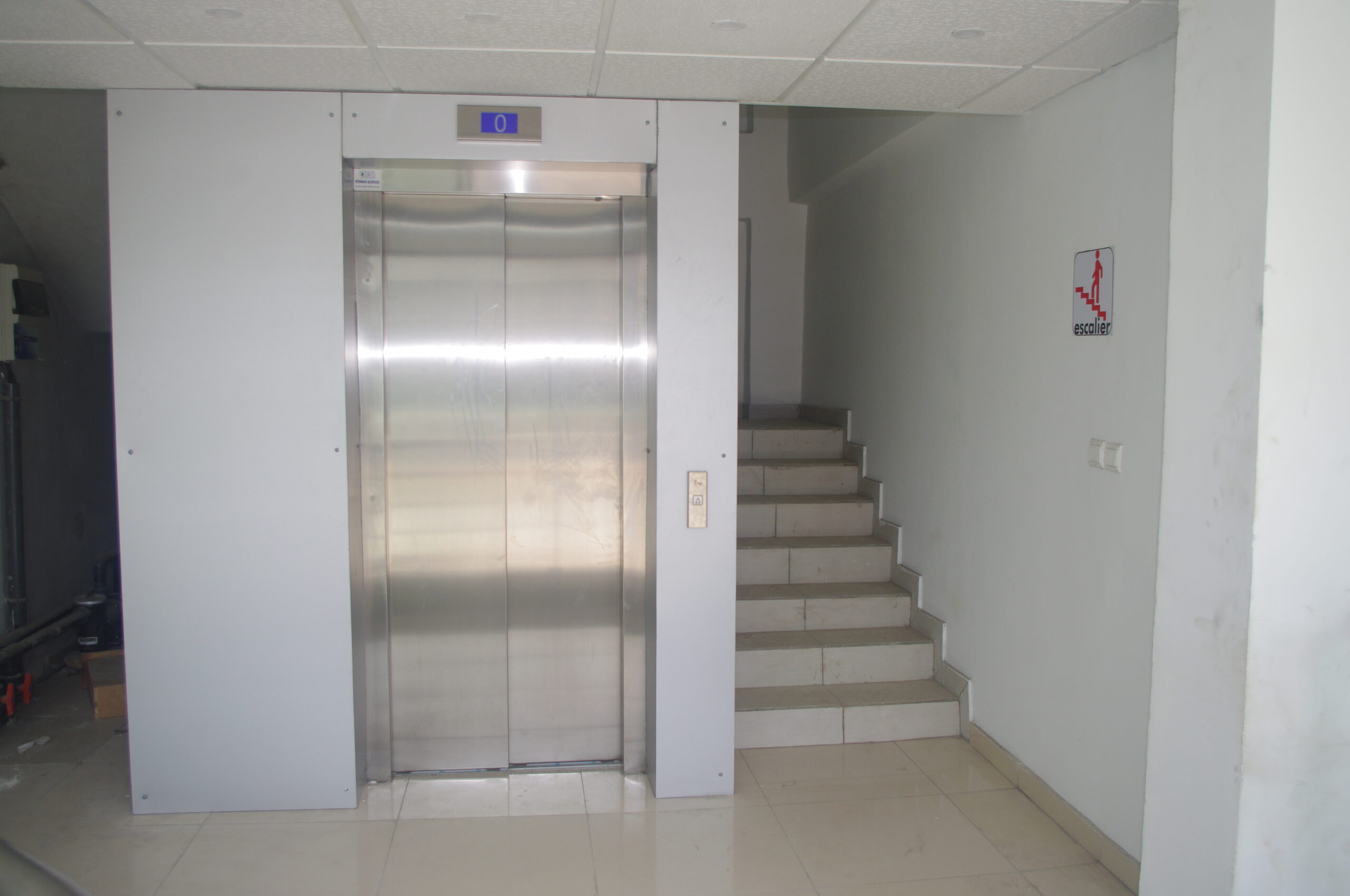 IMGP0229.JPG
