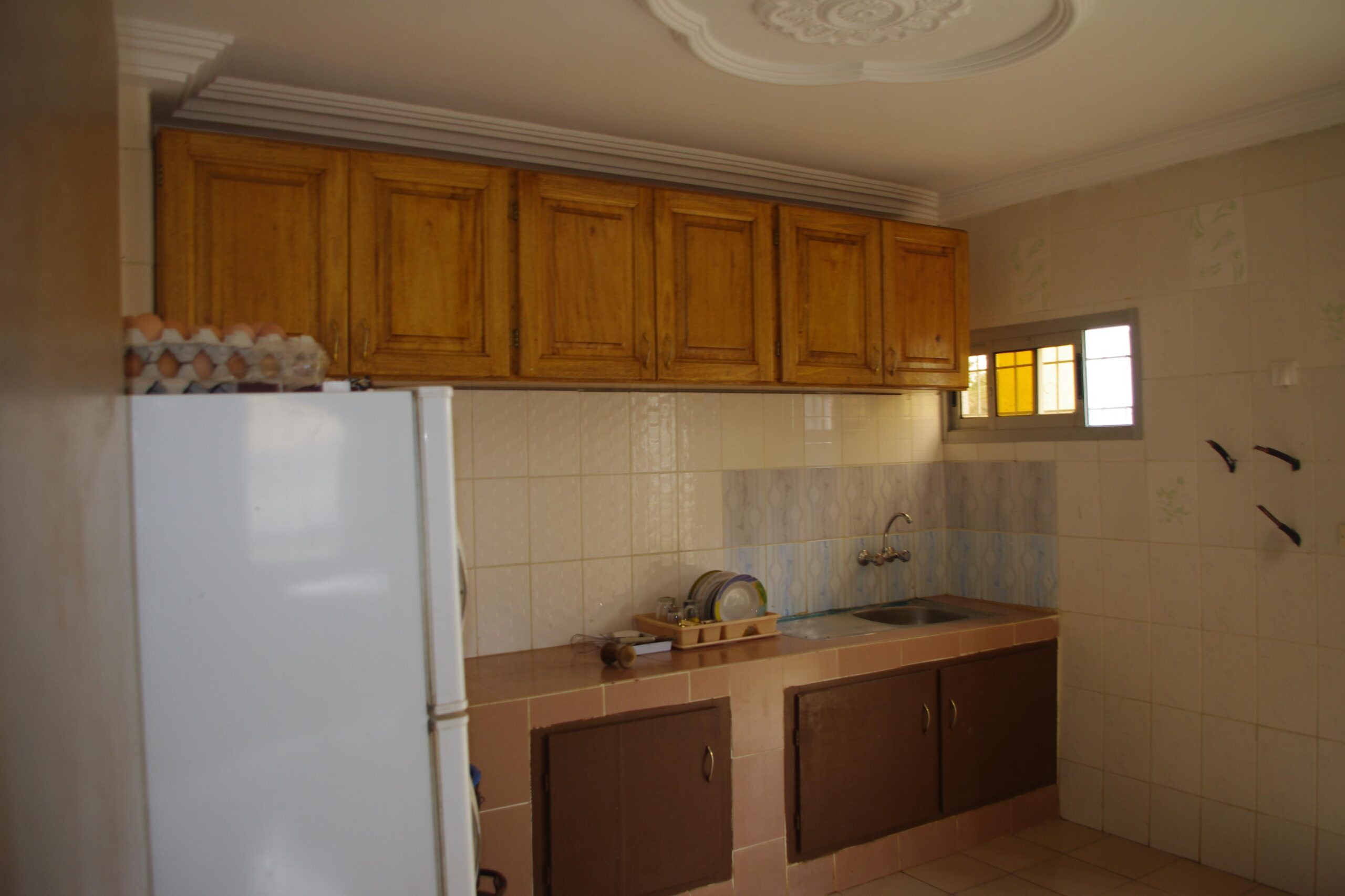 IMGP1450.JPG